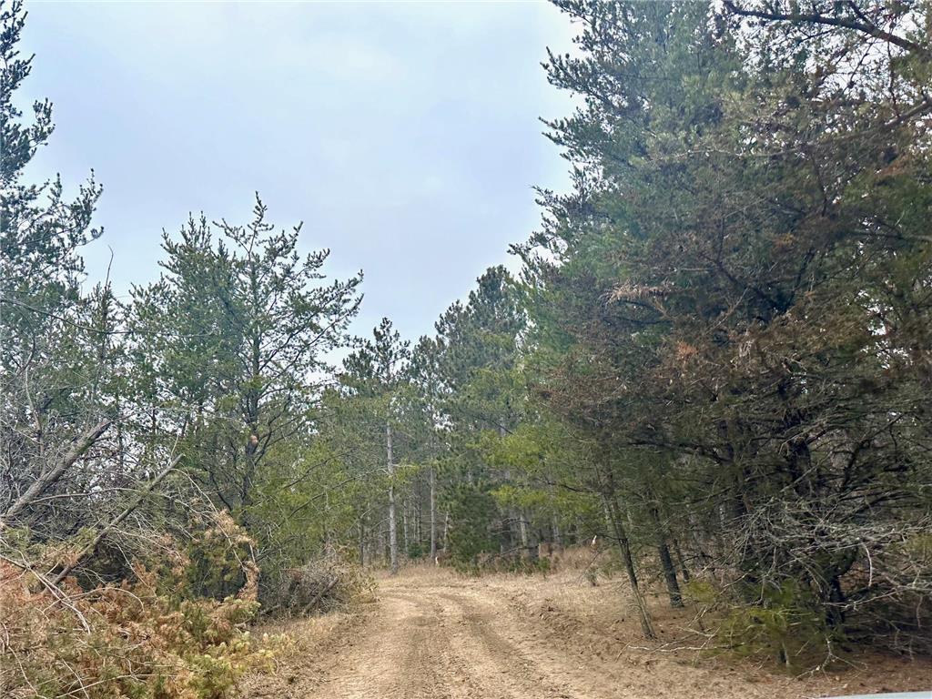 TBD Anthony Road SW Brainerd MN 56401 6500633 image1