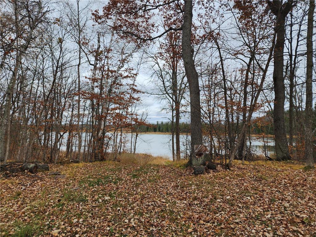 TBD Anyon Trail NW Backus MN 56435 - Tamarack Lake 6274725 image1