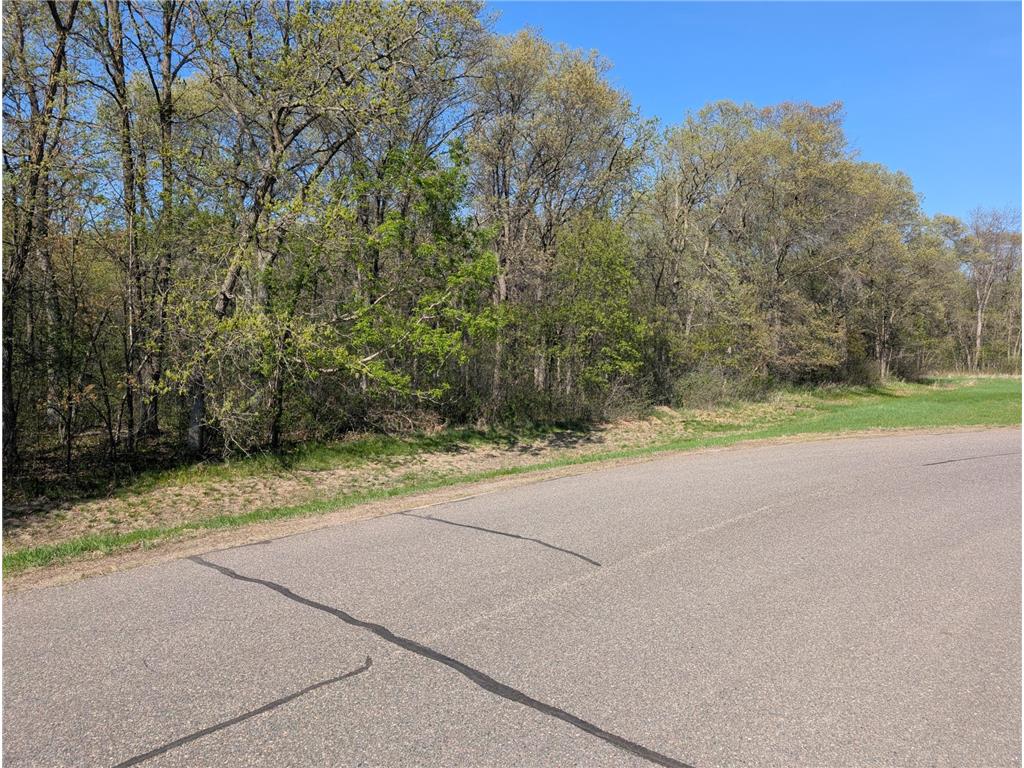 TBD Arbor Lane SW Pillager MN 56473 6723083 image1
