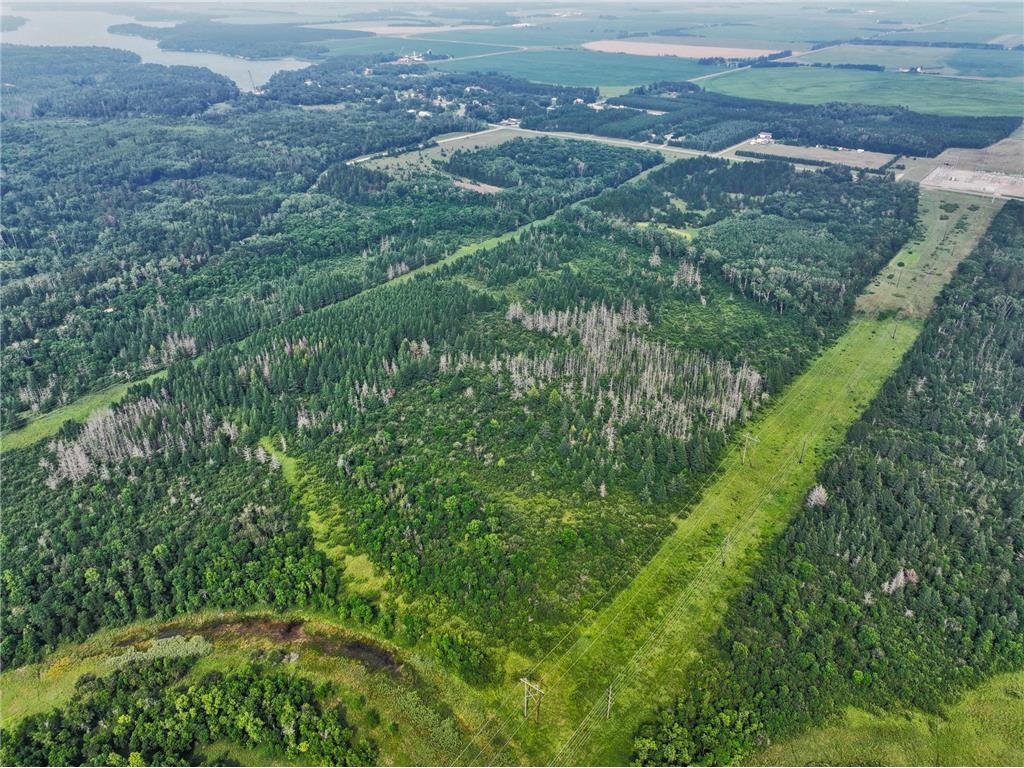 TBD Arbor Rd Park Rapids MN 56470 6670597 image10