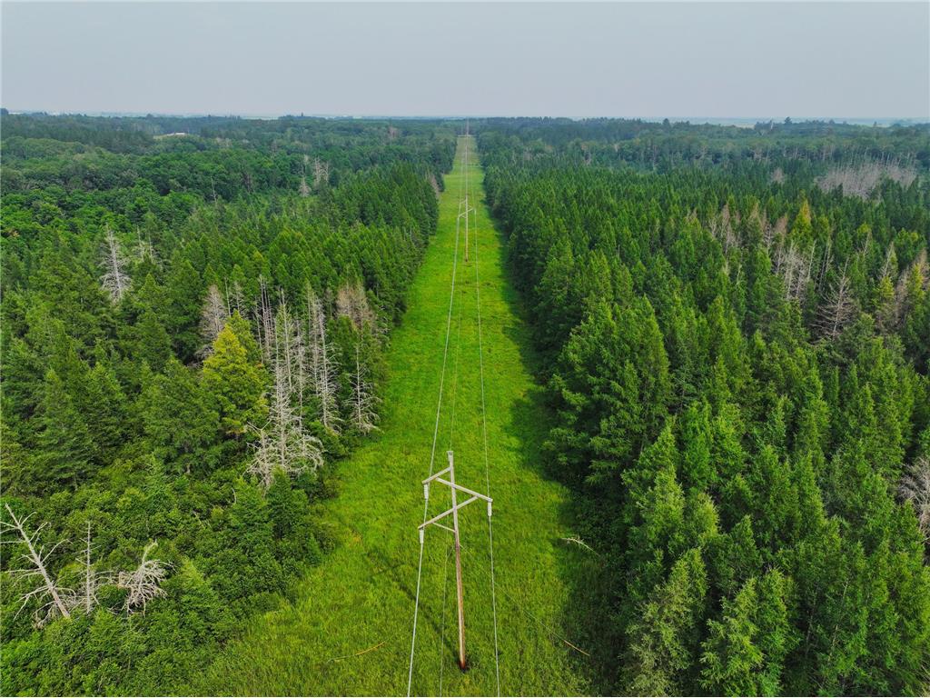 TBD Arbor Rd Park Rapids MN 56470 6670597 image13