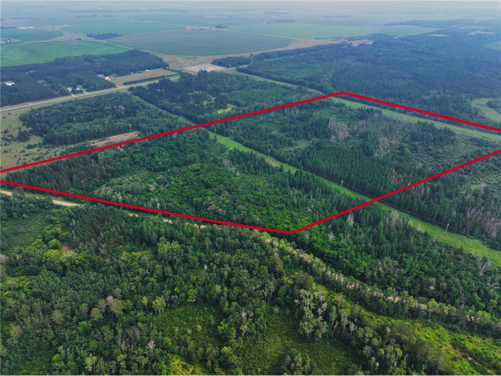 TBD Arbor Rd Park Rapids MN 56470 6670597 image2