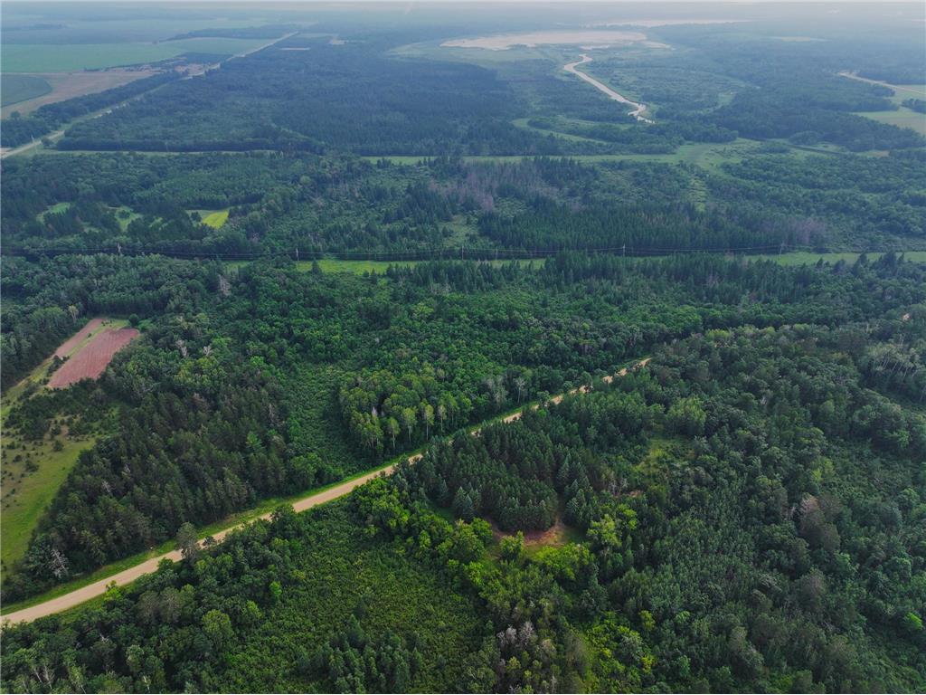 TBD Arbor Rd Park Rapids MN 56470 6670597 image7