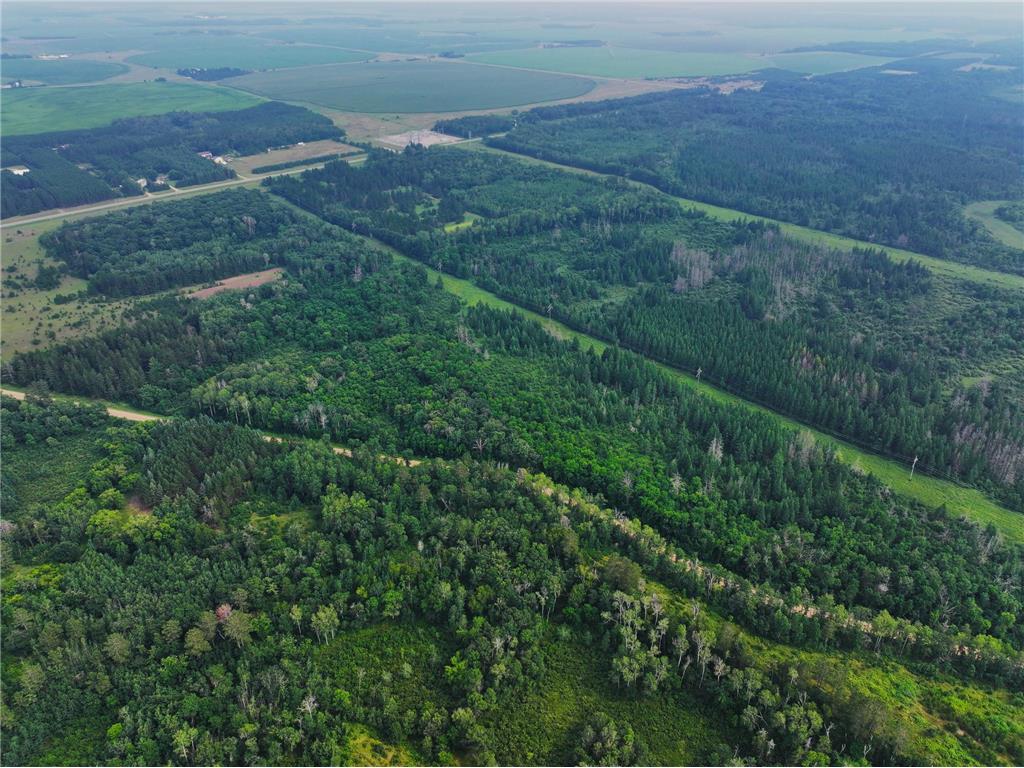 TBD Arbor Rd Park Rapids MN 56470 6670597 image8