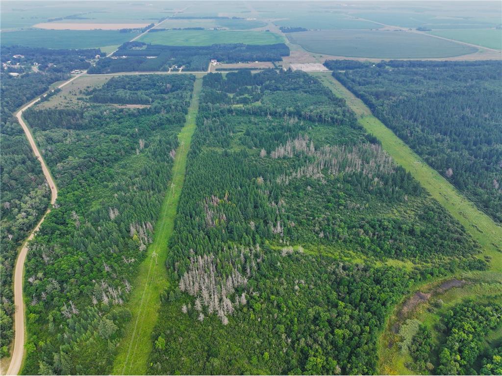 TBD Arbor Rd Park Rapids MN 56470 6670597 image9