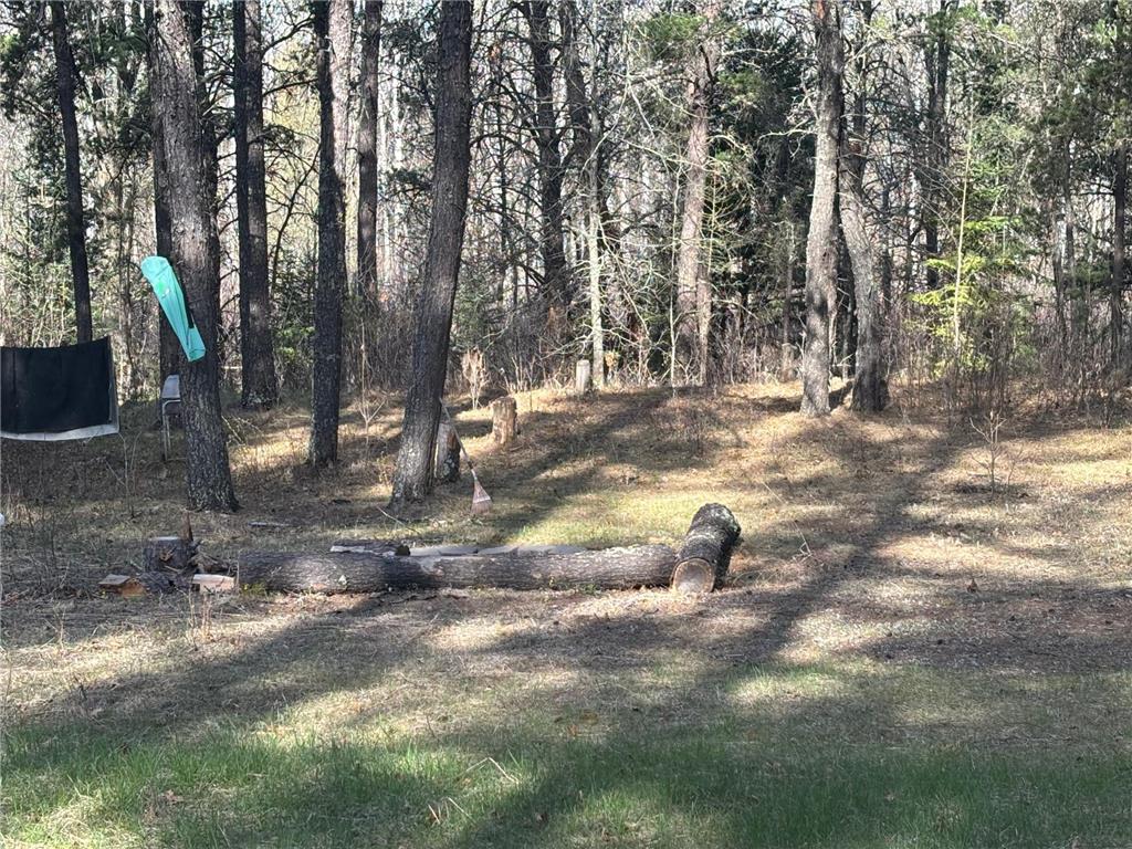 TBD Arbor Road Park Rapids MN 56470 7025158 image1