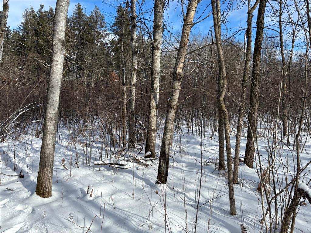 TBD Arbor Road Park Rapids MN 56470 7025158 image10