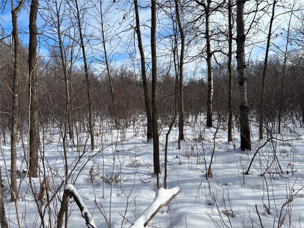 TBD Arbor Road Park Rapids MN 56470 7025158 image11