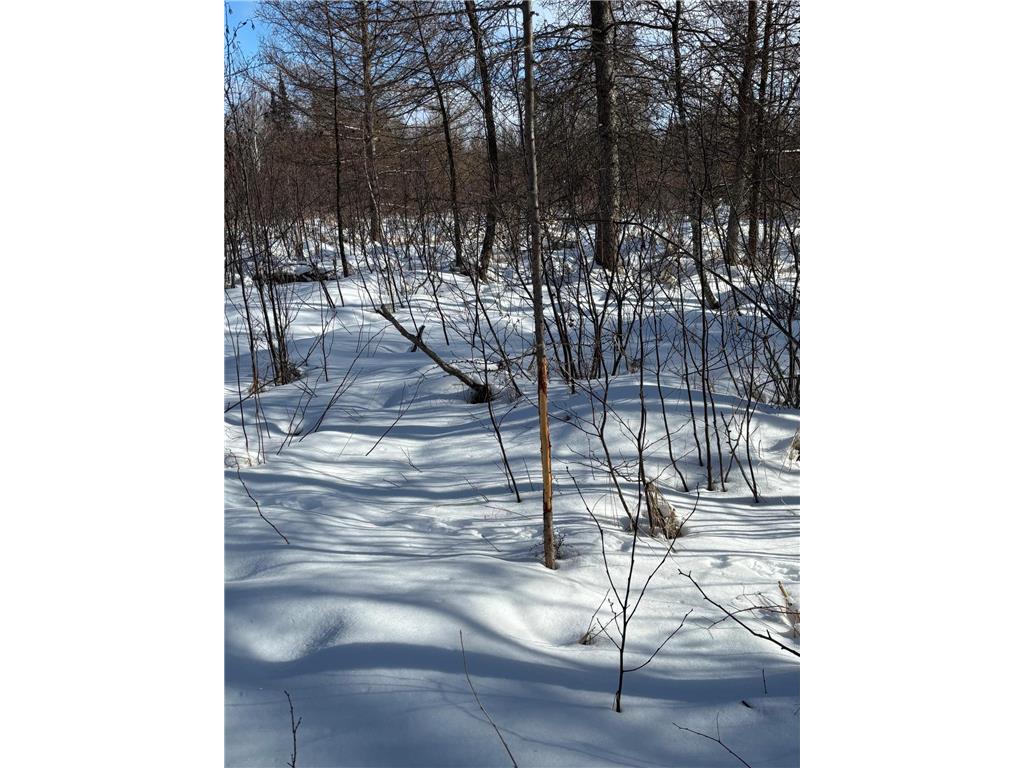 TBD Arbor Road Park Rapids MN 56470 7025158 image12