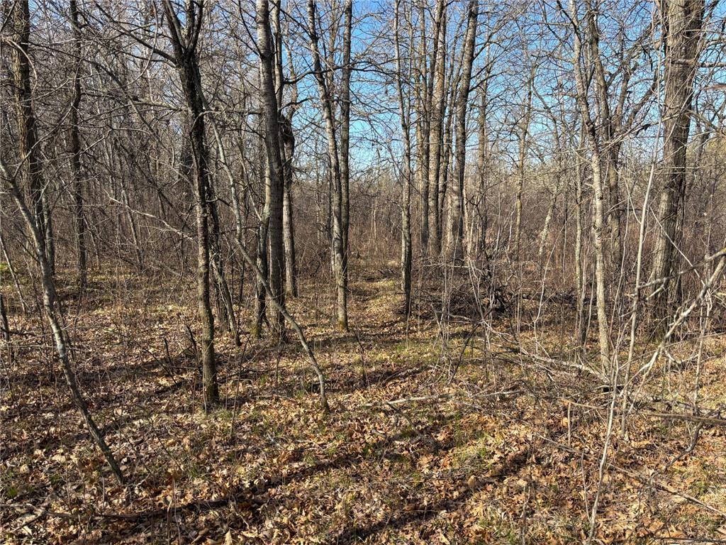 TBD Arbor Road Park Rapids MN 56470 7025158 image16