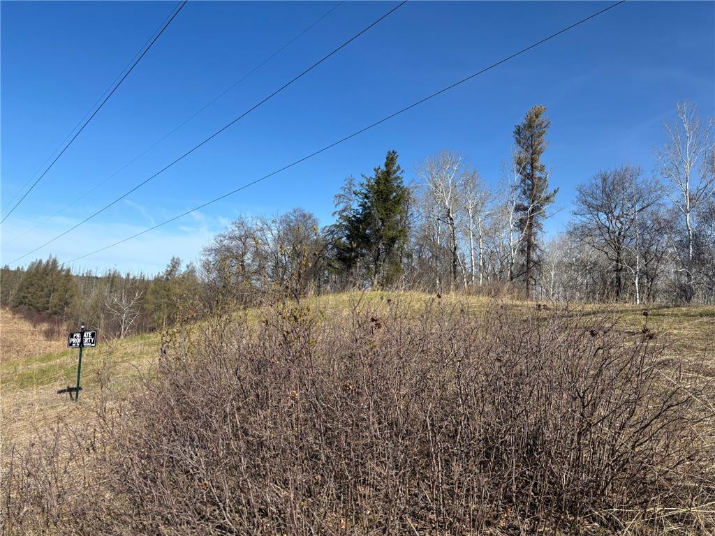 TBD Arbor Road Park Rapids MN 56470 7025158 image18