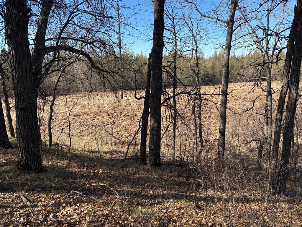 TBD Arbor Road Park Rapids MN 56470 7025158 image20