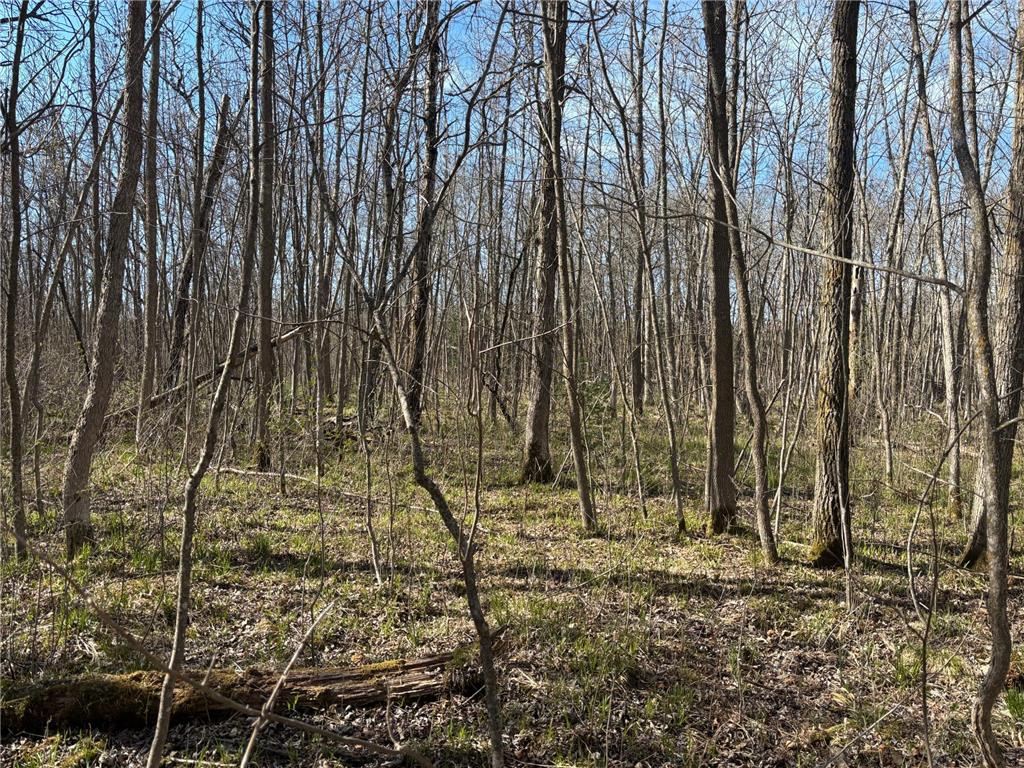 TBD Arbor Road Park Rapids MN 56470 7025158 image22