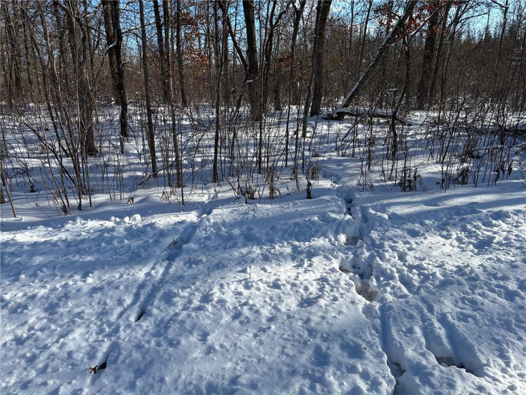 TBD Arbor Road Park Rapids MN 56470 7025158 image23