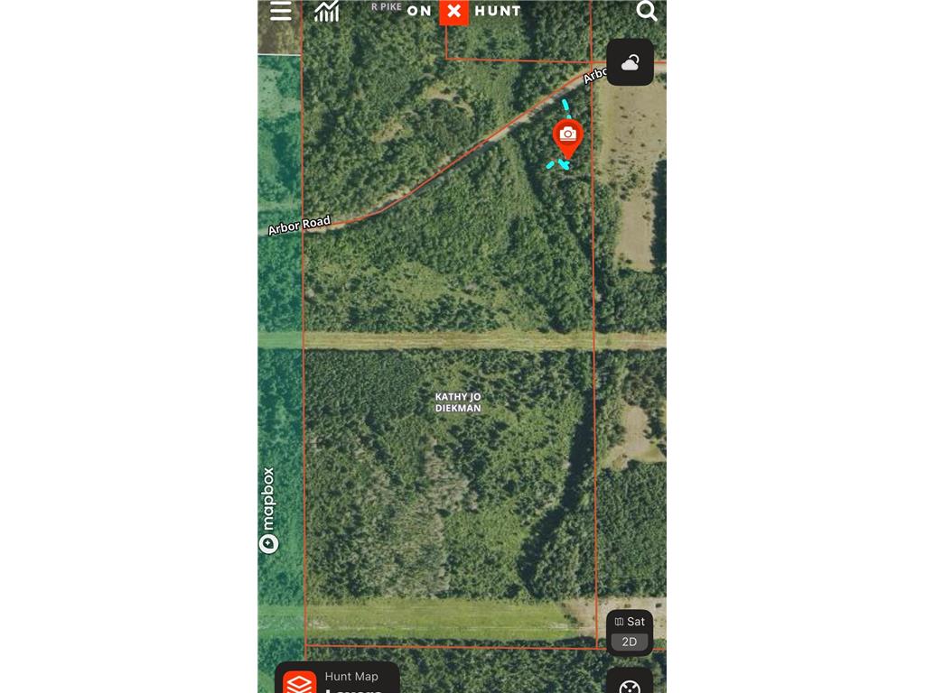 TBD Arbor Road Park Rapids MN 56470 7025158 image3