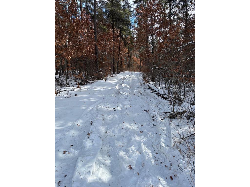 TBD Arbor Road Park Rapids MN 56470 7025158 image6