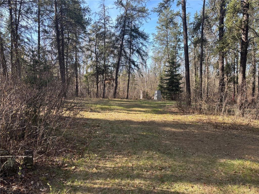 TBD Arbor Road Park Rapids MN 56470 7025158 image7