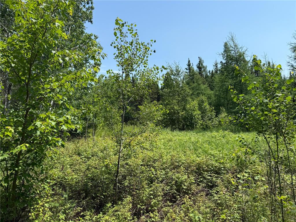 TBD Arkola Rd. Cotton MN 55724 6752347 image12