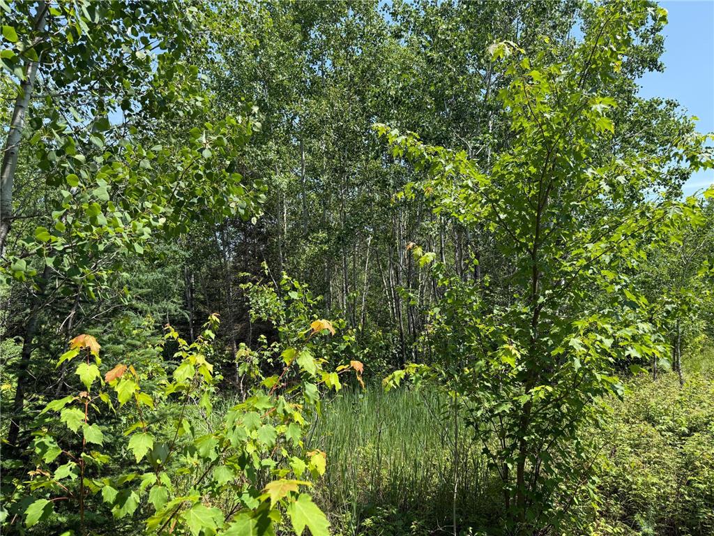 TBD Arkola Rd. Cotton MN 55724 6752347 image13