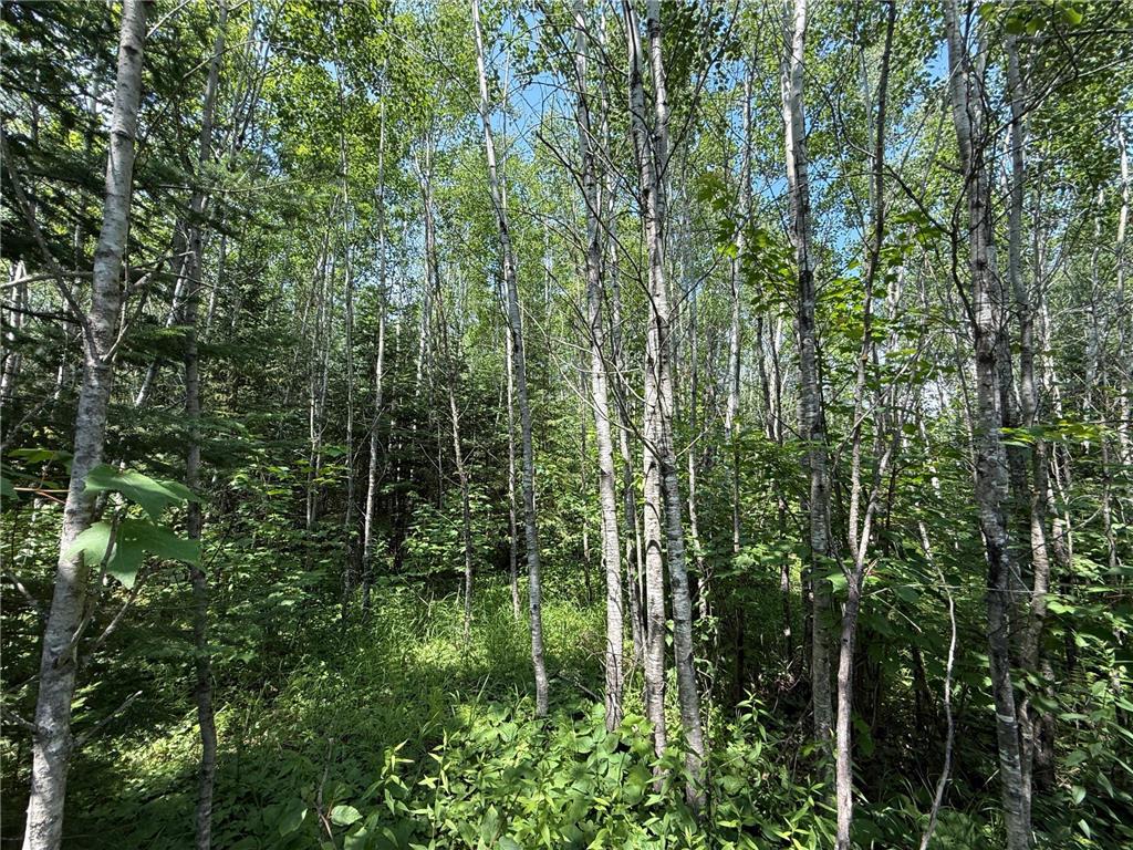 TBD Arkola Rd. Cotton MN 55724 6752347 image15