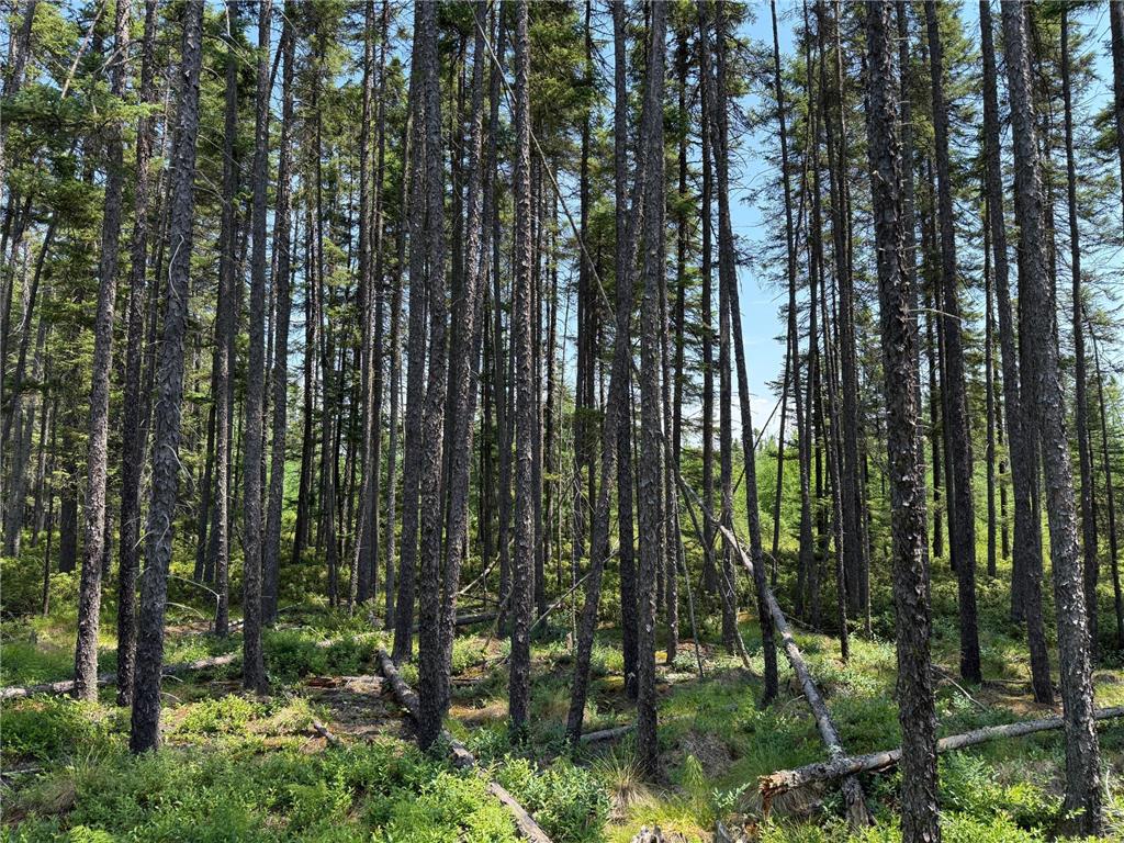 TBD Arkola Rd. Cotton MN 55724 6752347 image17