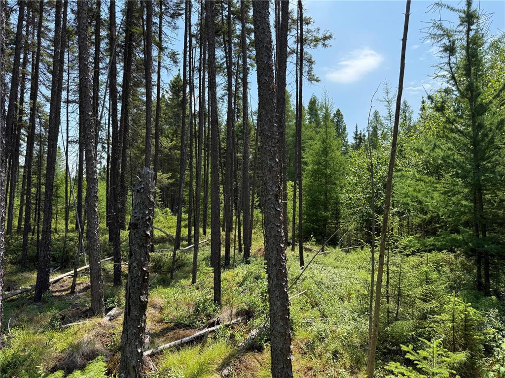 TBD Arkola Rd. Cotton MN 55724 6752347 image18