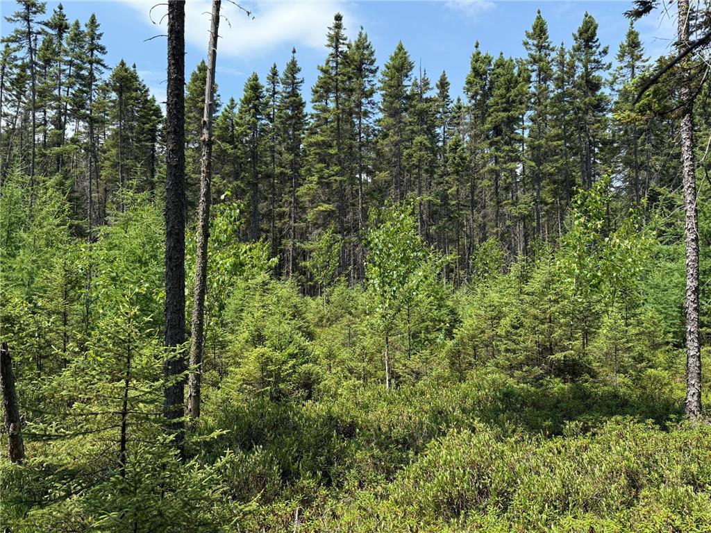 TBD Arkola Rd. Cotton MN 55724 6752347 image21