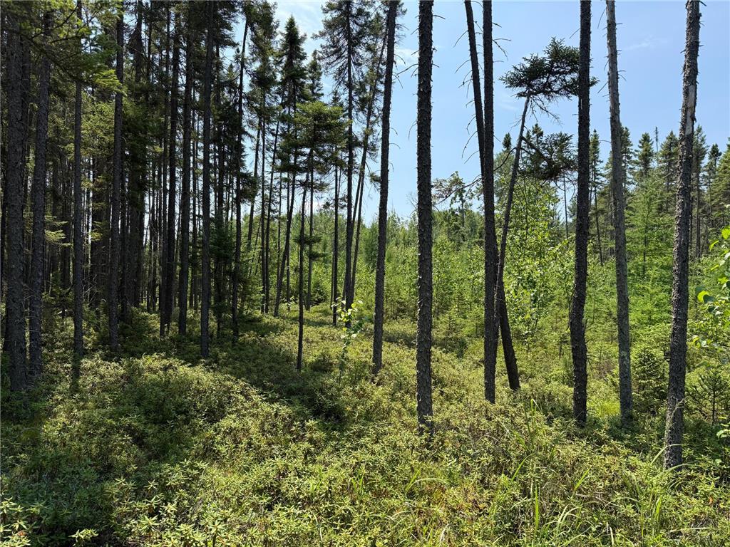 TBD Arkola Rd. Cotton MN 55724 6752347 image24