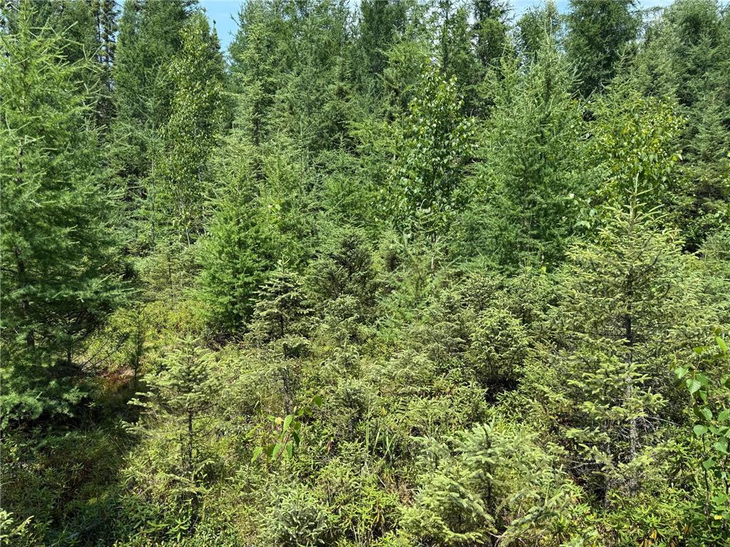 TBD Arkola Rd. Cotton MN 55724 6752347 image25