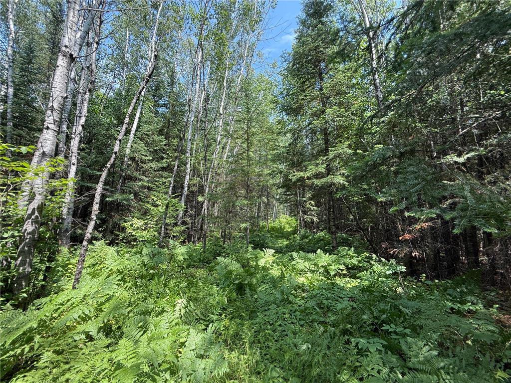 TBD Arkola Rd. Cotton MN 55724 6752347 image27