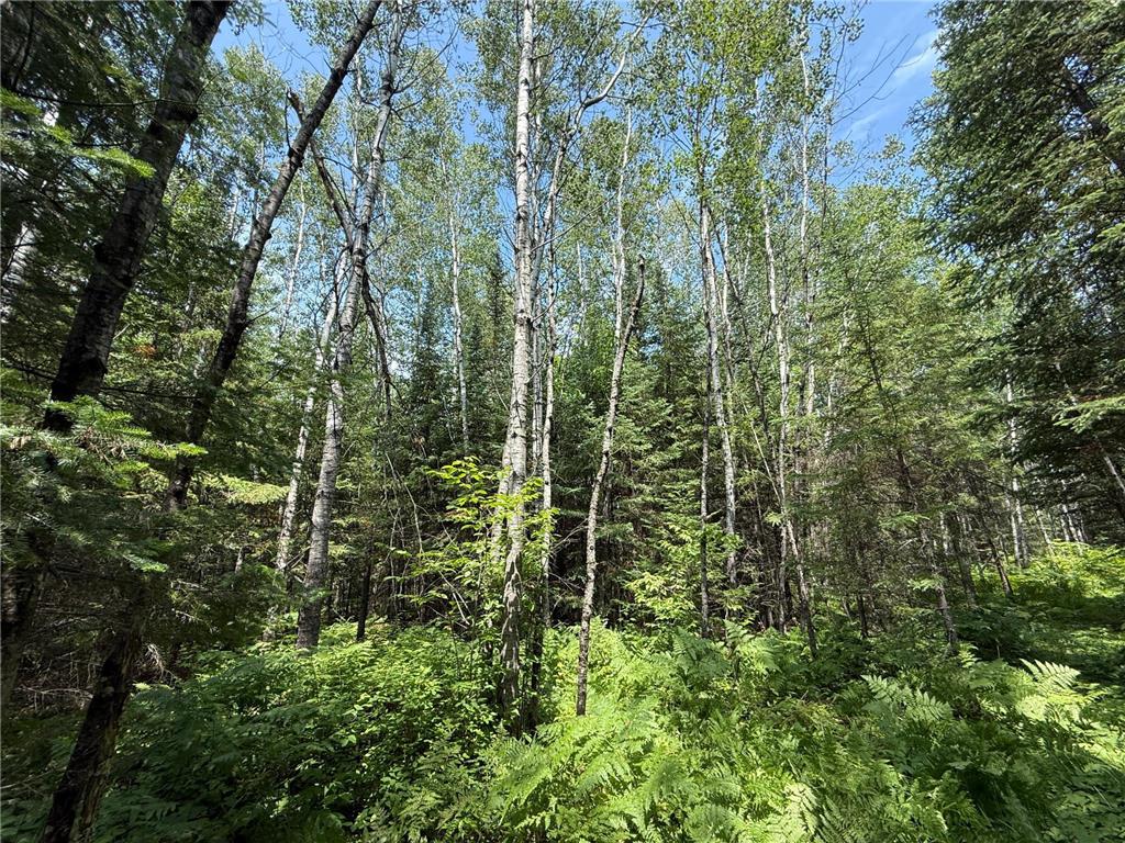 TBD Arkola Rd. Cotton MN 55724 6752347 image28