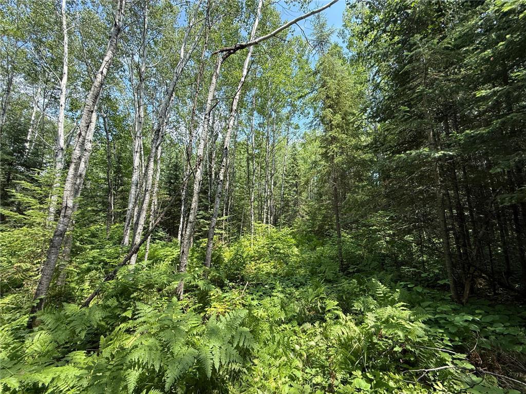 TBD Arkola Rd. Cotton MN 55724 6752347 image29