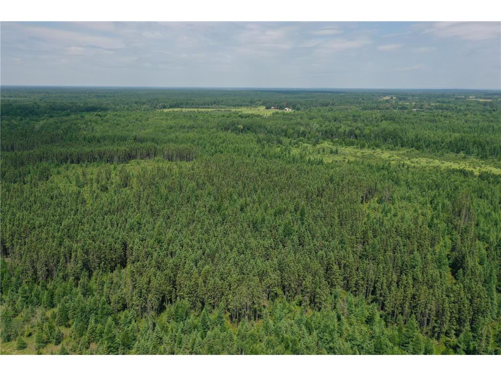 TBD Arkola Rd. Cotton MN 55724 6752347 image3