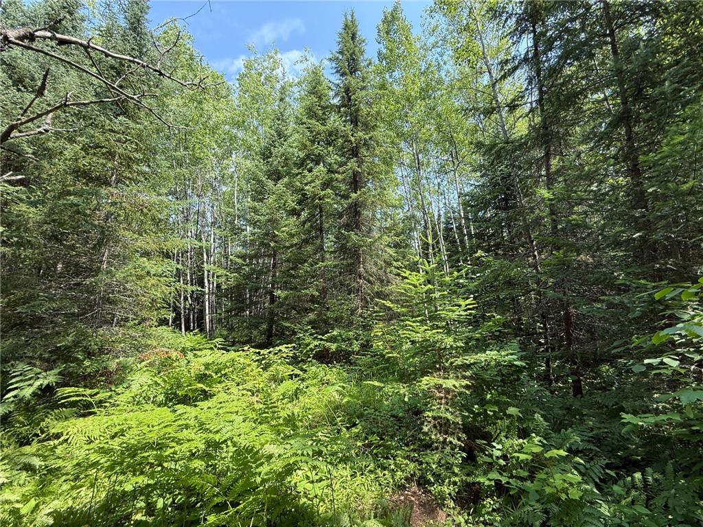 TBD Arkola Rd. Cotton MN 55724 6752347 image31