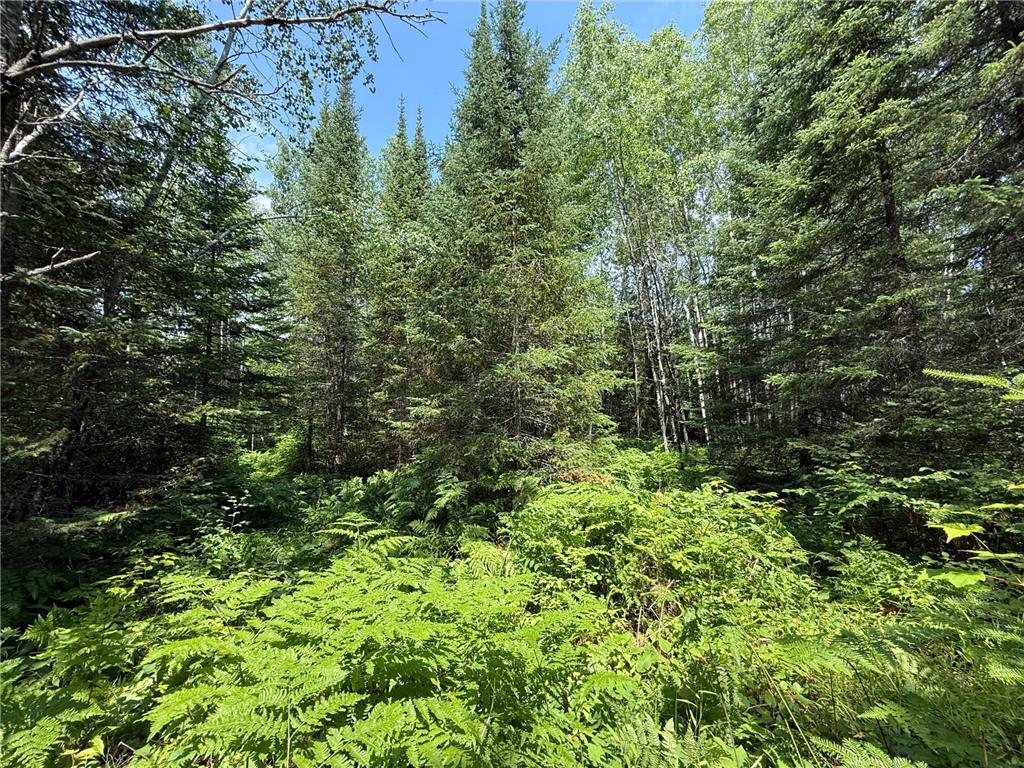 TBD Arkola Rd. Cotton MN 55724 6752347 image32