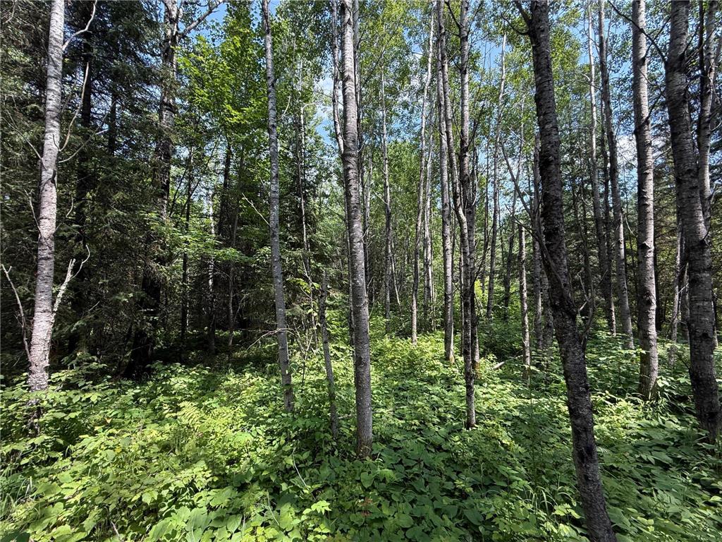 TBD Arkola Rd. Cotton MN 55724 6752347 image34