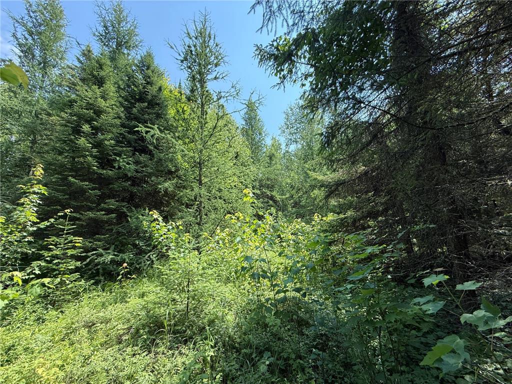 TBD Arkola Rd. Cotton MN 55724 6752347 image35