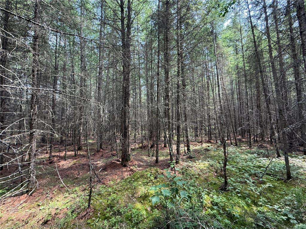 TBD Arkola Rd. Cotton MN 55724 6752347 image36