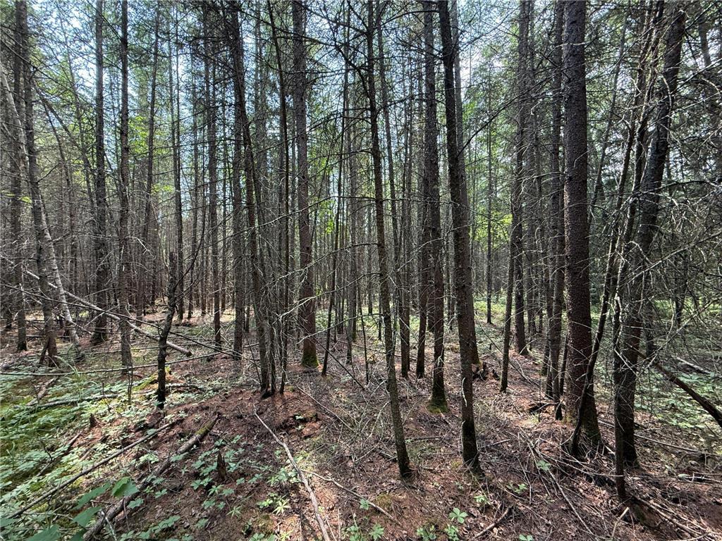 TBD Arkola Rd. Cotton MN 55724 6752347 image37