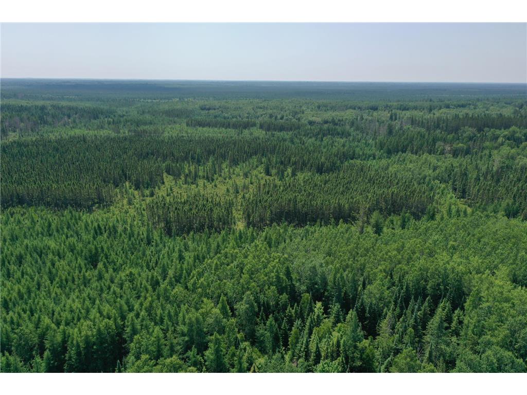 TBD Arkola Rd. Cotton MN 55724 6752347 image4