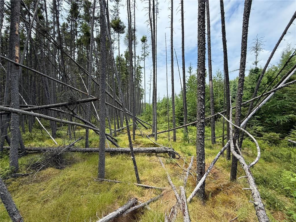 TBD Arkola Rd. Cotton MN 55724 6752347 image40