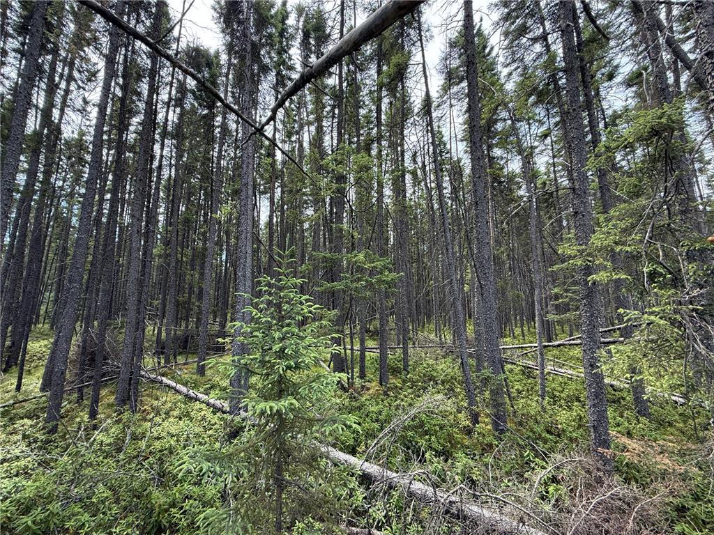 TBD Arkola Rd. Cotton MN 55724 6752347 image41