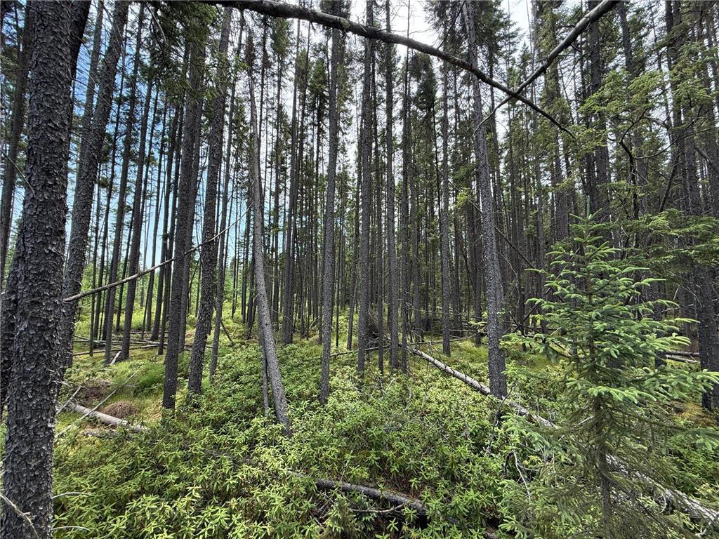 TBD Arkola Rd. Cotton MN 55724 6752347 image42