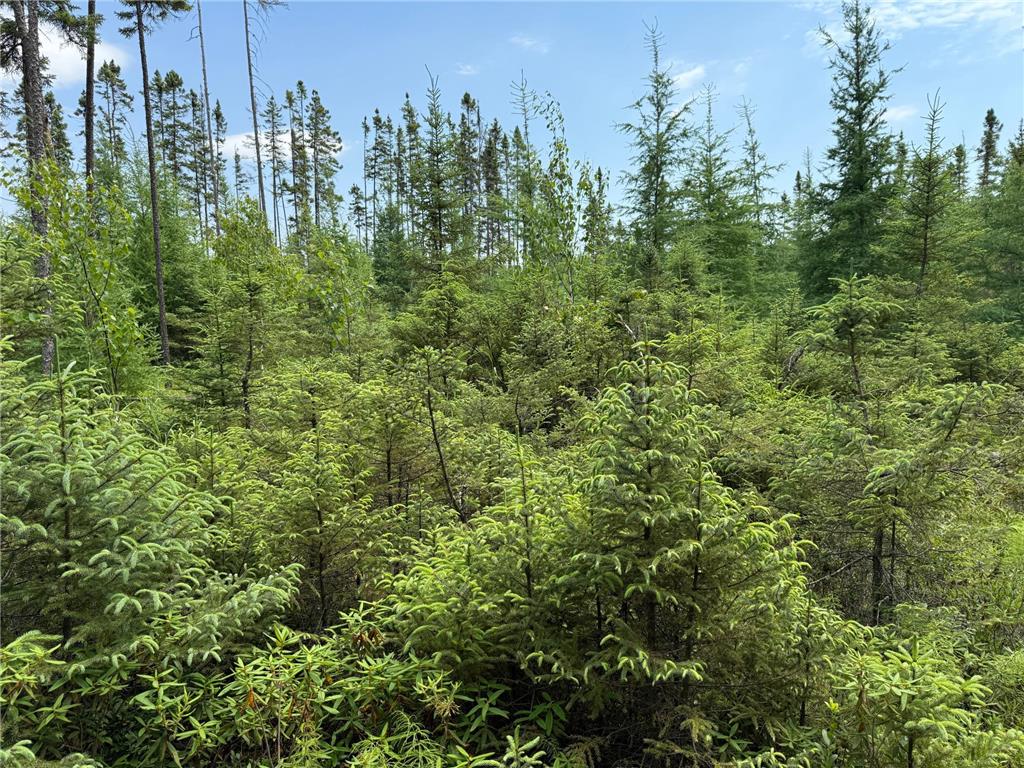 TBD Arkola Rd. Cotton MN 55724 6752347 image43