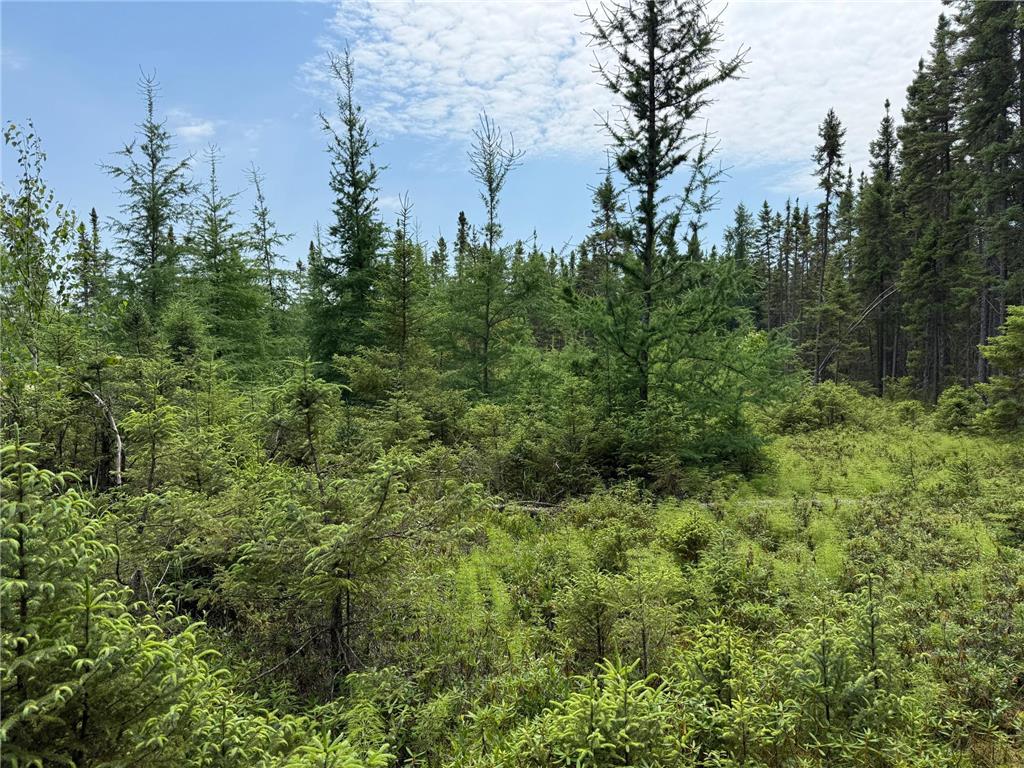 TBD Arkola Rd. Cotton MN 55724 6752347 image44