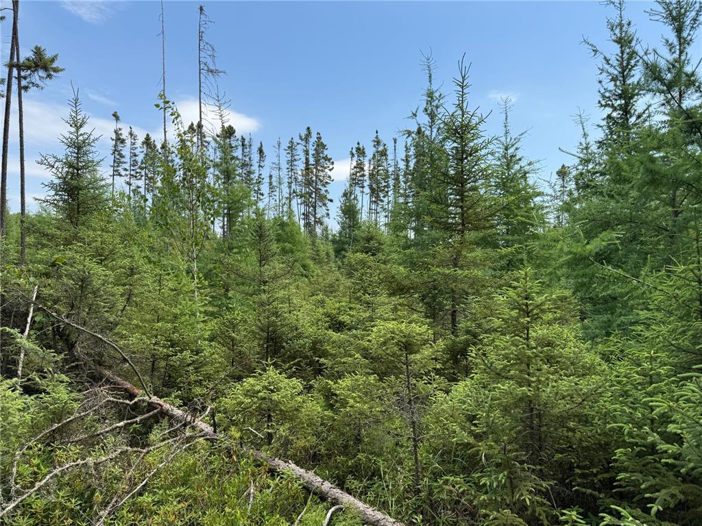 TBD Arkola Rd. Cotton MN 55724 6752347 image45