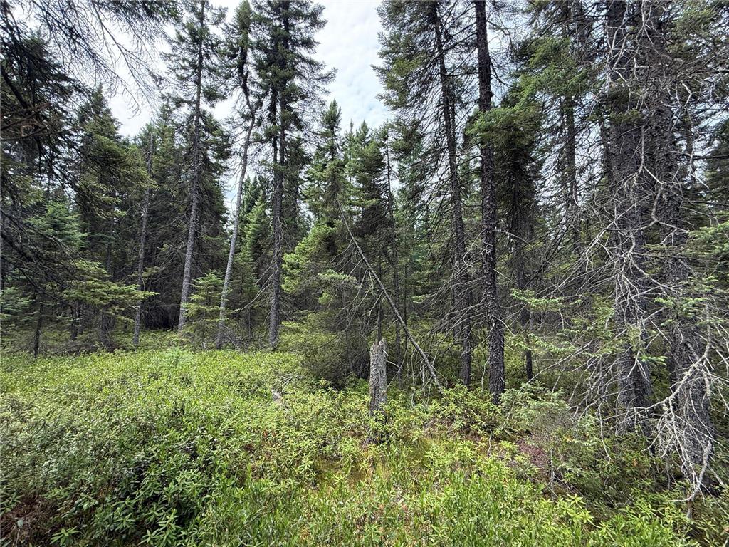 TBD Arkola Rd. Cotton MN 55724 6752347 image47