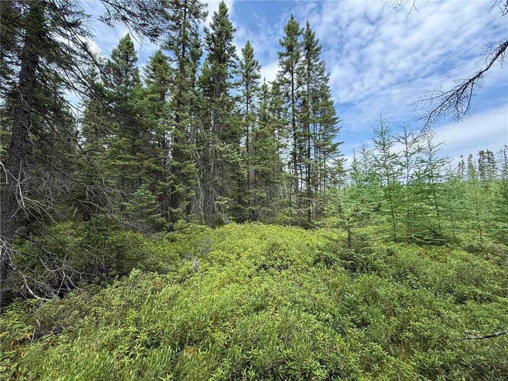 TBD Arkola Rd. Cotton MN 55724 6752347 image48