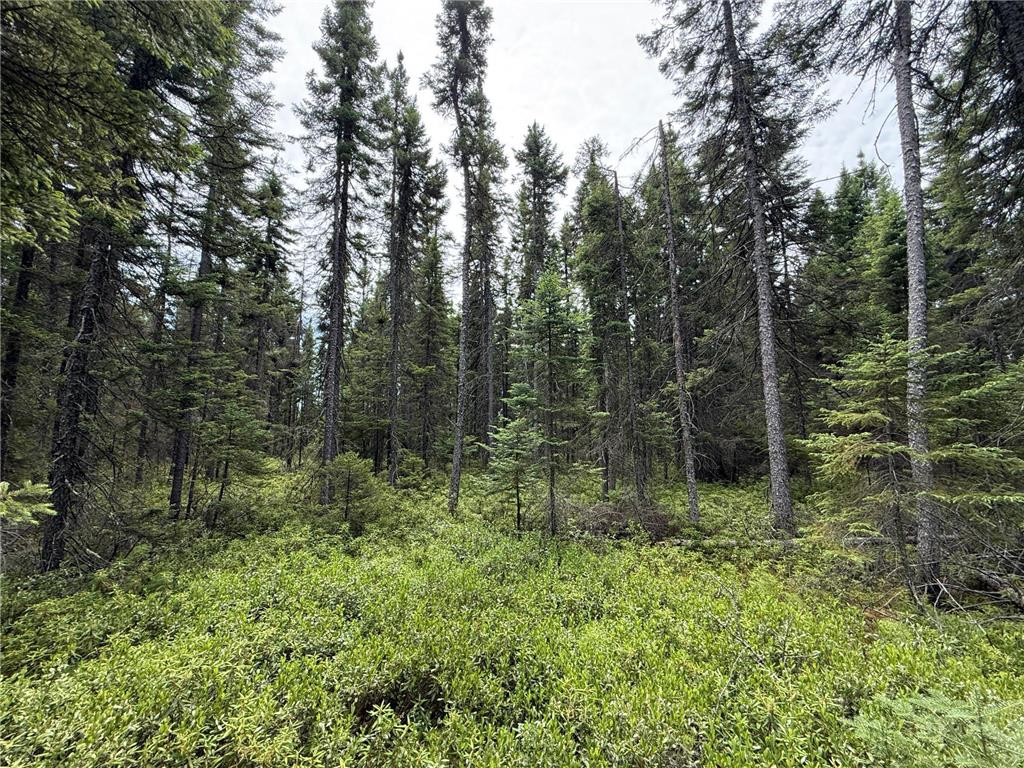 TBD Arkola Rd. Cotton MN 55724 6752347 image49