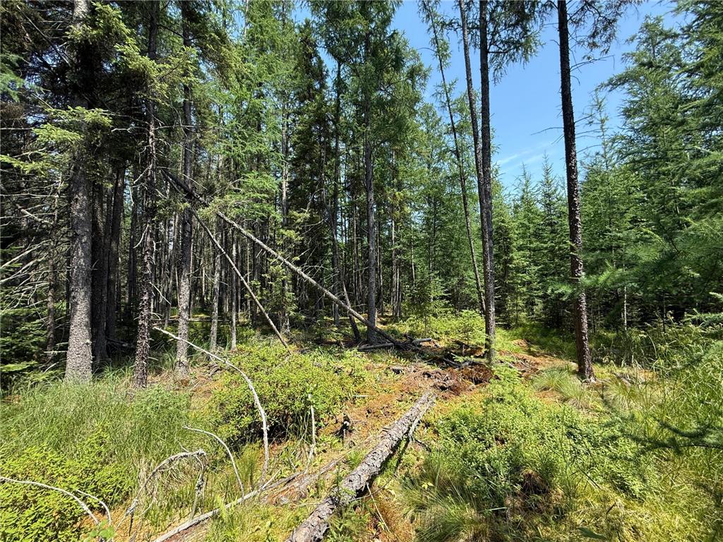 TBD Arkola Rd. Cotton MN 55724 6752347 image5